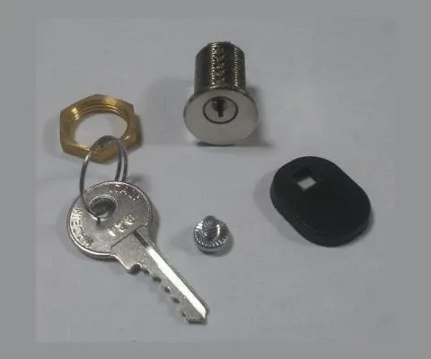 CAME Замок дверцы разблокировки BX-243