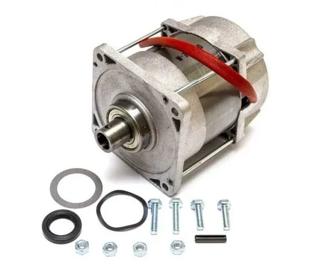 CAME Электродвигатель FERNI