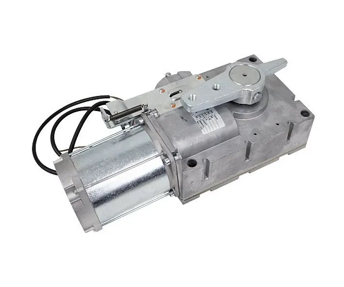 CAME 119RIG195 Моторедуктор G6000 G6000I