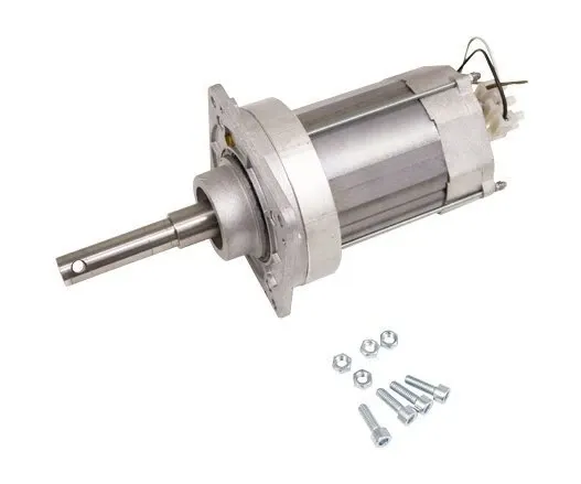 CAME 119RIG090 Двигатель для G2500 в сборе