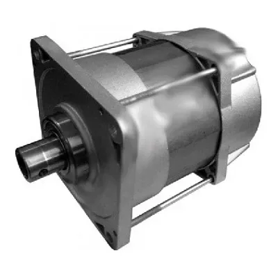 CAME 119RIE152 Электродвигатель E456