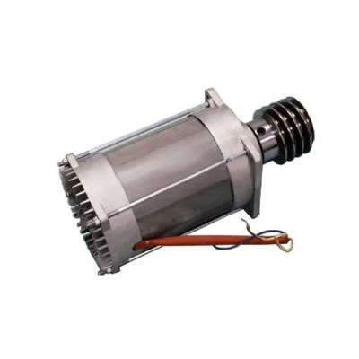 CAME Электродвигатель BX-241 в сборе