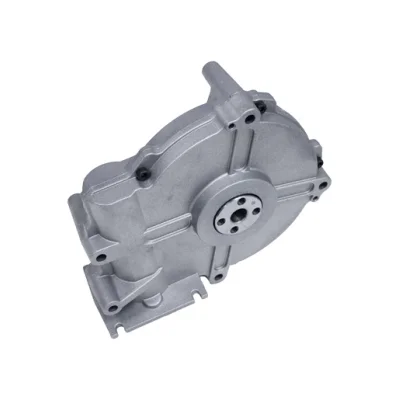 CAME 88003-0036 Редуктор для GPT40AGS