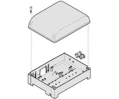 CAME 119RIG118 Замок разблокировки G12000