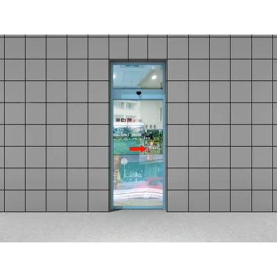 Doorhan DH-DS35 Комплект одностворчатой раздвижной двери фрамугой