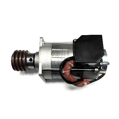 CAME 119RIC042 Электродвигатель C-BYT